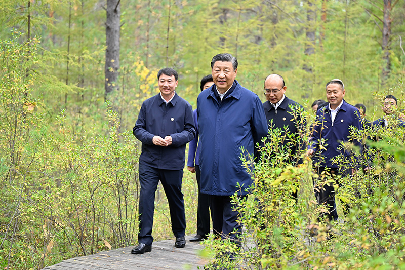 9月6日至8日,中共中央总书记、国家主席、中央军委主席习近平在黑龙江考察。这是6日下午,习近平在大兴安岭地区漠河市漠河林场自然林区考察